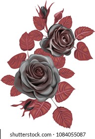 Gothic Bouquet  - Dark Roses Vector