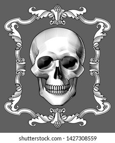 Gothic coat of arms with skull. Vintage label of human skull full face. Vintage engraving stylized drawing. Vector illustration.
