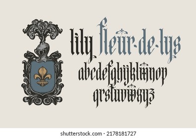 Gothic font. Full set of letters of English alphabet in vintage. Medieval Latin letters. Vector calligraphy and lettering. inscription fleur de lys and the coat of arms with a lily and a knight's helm