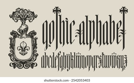 Gothic font. Full set of letters of English alphabet in vintage. Medieval Latin letters. Vector calligraphy and lettering and the coat of arms with a lily and a knight's helm