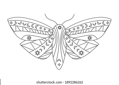 Gothic Moth silhouette in outline style. Beauty night Butterfly. Abstract vector illustration isolated on white background in modern tattoo style