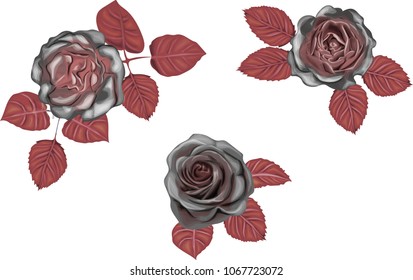 Gothic roses. Black roses with red leaves. Vector collection