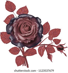 Gothic  Roses Bouquet - Black Roses Bouquet
