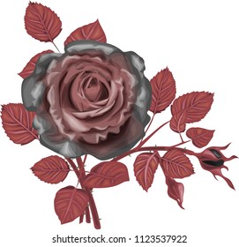 Gothic  Roses Bouquet - Black Roses Bouquet