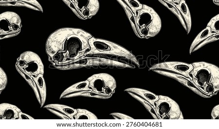 Gothic seamless pattern featuring various bird skulls and beaks illustrated in a vintage sketch style on a black background.