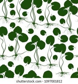 Gotu kola. Background, wallpaper, seamless. Sketch. Color pattern. Leaves, stem. root. Monochrome. Silhouette.