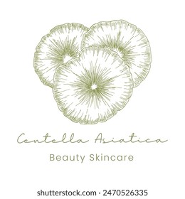 Gotu Kola ( Centella Asiatica ) Beautifull and Natural Skincare Logo