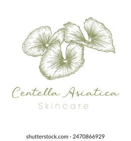 Gotu Kola ( Centella Asiatica ) Beautifull and Natural Skincare Logo