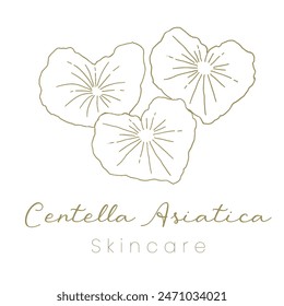 Gotu Kola ( Centella Asiatica ) Beautifull and Natural Skincare Logo