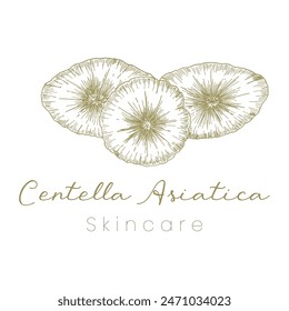 Gotu Kola ( Centella Asiatica ) Beautifull and Natural Skincare Logo