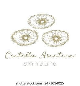 Gotu Kola ( Centella Asiatica ) Beautifull and Natural Skincare Logo