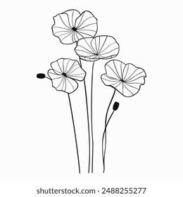 Gotu kola, Centella asiatica. Line art. Hand drawn sketch black and white vector illustration. Engraved style