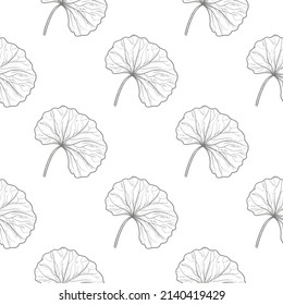 Gotu kola. Centella. Seamless background with leaves. Template, wallpaper. Sketch.