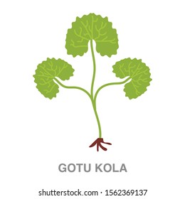 Gotu kola flach Symbol auf weißem, transparentem Hintergrund. Man kann das Symbol "gotu kola" für mehrere Zwecke verwenden.