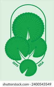 Gotu Kola icon in flat style. Centella asiatica. Isolated object. Organic nature medical herb.  Vector illustration