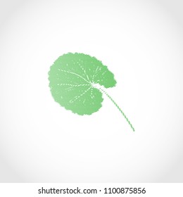 Gotu kola. leaf. Logo, embleml. Silhouette.