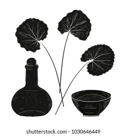 Gotu Kola. Leaves, bowl, bottle. Silhouette, black color on a white background.