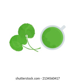 Gotu kola, leaves. Tincture, extract in a cup. Medicinal herbal plant.  Color vector drawing on a white background.