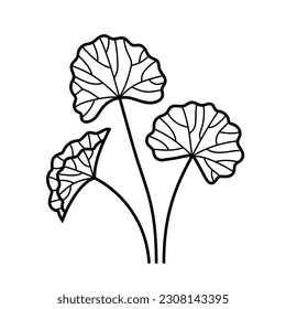 Gotu Kola. Bio-Natur-Heilkräuter. Centella asiatica. Handgezeichnetes Linienlogo. Vektorgrafik.