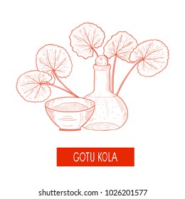 Gotu kola. A plant, a bottle and a bowl. Sketch. Monochrome. On a white background.