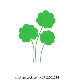 Gotu Kola plant leaf in flat style. Asiatic pennywort isolated on white background. Superfood Gotu Kola medical herb. Vector illustration.