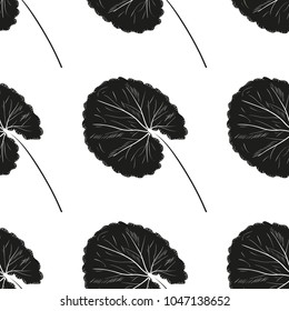 Gotu kola. A plant, leaves. Background, wallpaper, seamless. Monochrome. Black silhouette on white background.