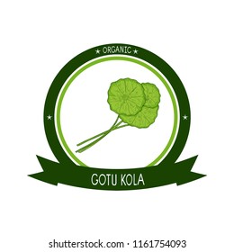 Gotu kola. Plant. Leaves, stem. Emblem, sticker. Logo, sign, symbol. Color. Sketch.
