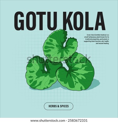Gotu Kola Premium Vector Clipart High-Quality Illustration for Cooking Branding and Packaging