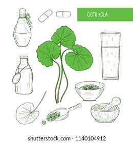 Gotu kola, sketch. A plant, mortar, ladle, a bottle, capsule, glass with a tincture. Set