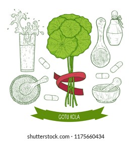 Gotu kola, sketch.A plant, a ribbon. A spoon, a cup, a powder, a mortar, a bottle, a glass, capsule. Set