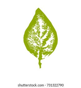 Gouache stamp of a leaf. Eco print from green leaves. 