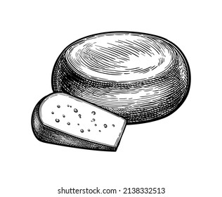 Gouda cheese wheel and piece. Ink sketch isolated on white background. Hand drawn vector illustration. Vintage style stroke drawing.