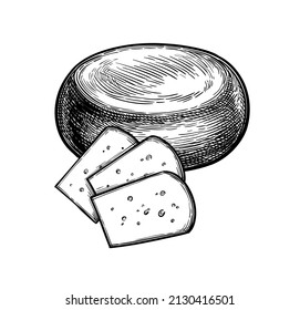 Gouda cheese wheel and slices. Ink sketch isolated on white background. Hand drawn vector illustration. Vintage style stroke drawing.