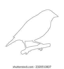 gouldian finch bird icon vector illustration design svg