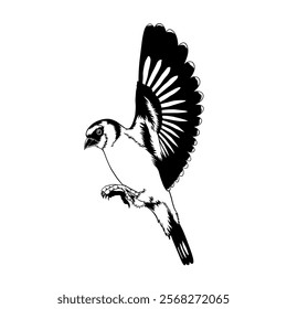 Gouldian finch with black and white vector touches, horizontal flying angle, suitable for logos and finch motif patterns for printed and digital merchandise.