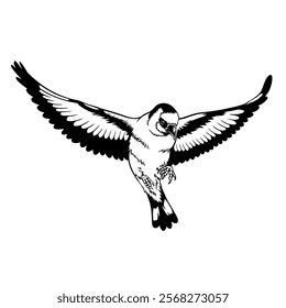 Gouldian finch with black and white vector touches, flying angles are waiting for you, vintage and gothic, suitable for logos and finch motif patterns for printed and digital merchandise.