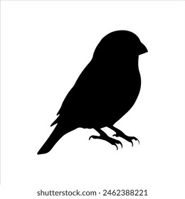 Gouldian finch silhouette isolated on white background. Finch icon vector illustration design.