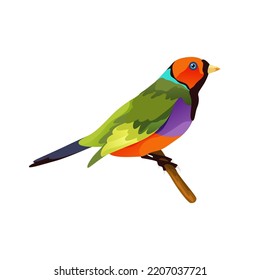 Gouldian or rainbow finch bird, vector icon.