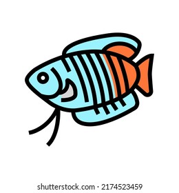 gourami fish color icon vector. gourami fish sign. isolated symbol illustration