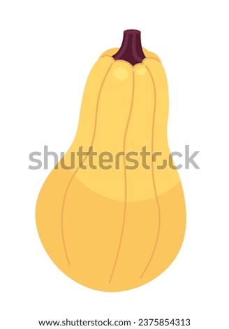 Gourd fall plant 2D cartoon object. Thanksgiving nutritious healthy food. Autumn harvest festival. Vegetable isolated vector item white background. November autumnal color flat spot illustration