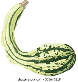 gourd green and yellow