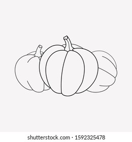 Gourd icon line element. Vector illustration of gourd icon line isolated on clean background for your web mobile app logo design.