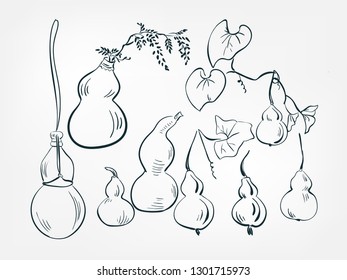 gourd pumpkin bottle set collection japanese chinese oriental vector ink style design elements illustration