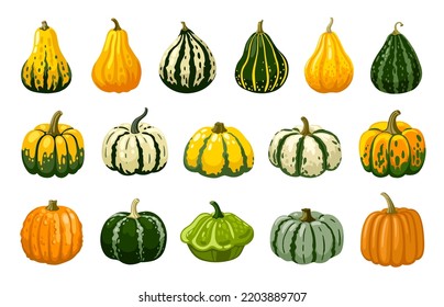 Gourd, pumpkin, squash hand drawn cartoon illustration. Decorative vegetables for halloween and thanksgiving holiday. Isolated vector elements.