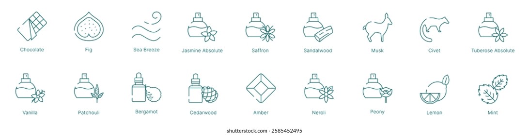 Gourmand and Aromatic Fragrance Notes Vector Icon Set