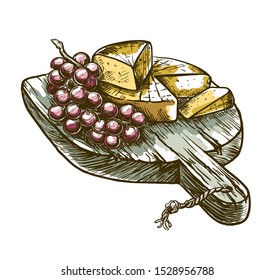 gourmet cheese and grapes. vector sketch on a white
