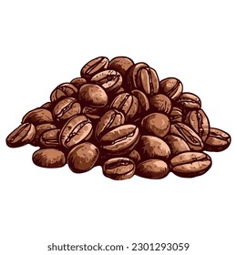 Gourmet coffee bean on organic isolated