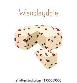 Gourmet English cheese wheel of cranberry Wensleydale with berries. Cut triangle piece of delicious British chees. Colored flat vector illustration of delicatessen food isolated on white background