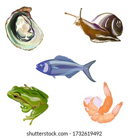 
Gourmet food set: snail, fish, frog, oyster, shrimp, vector illustration on a white isolated background