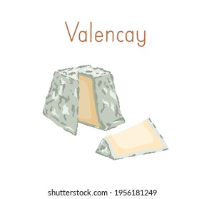 Gourmet French Valencay cheese with blue moldy rind. Cut piece of delicious soft chees with mold. Colored flat vector illustration of delicatessen food isolated on white background